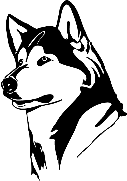 Washington Huskies 1995-2000 Partial Logo t shirts iron on transfers